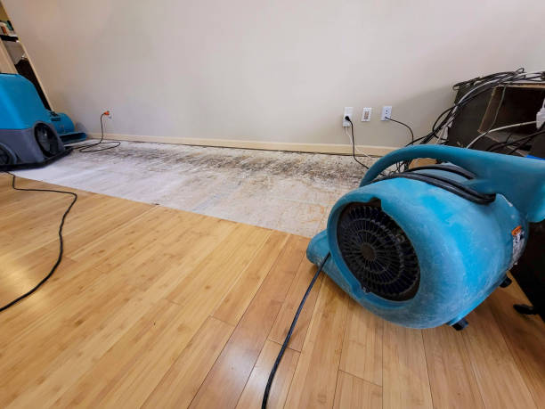 Professional Water Extraction technician working in Larchmont, NY